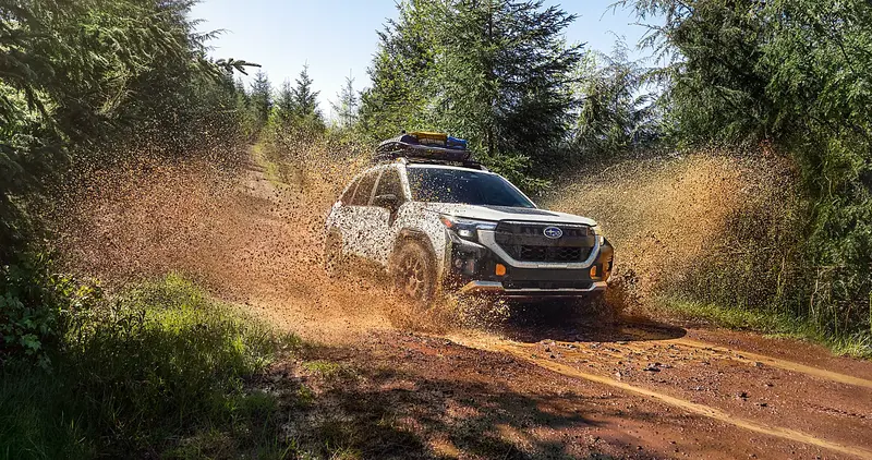 2026 Forester Wilderness